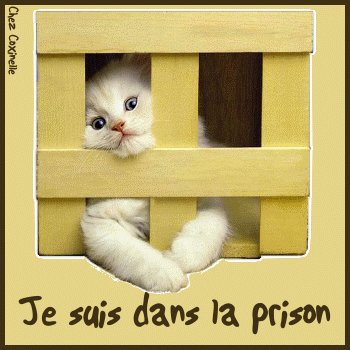 je t'aime